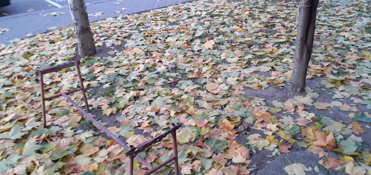 Wp 1606054250545
